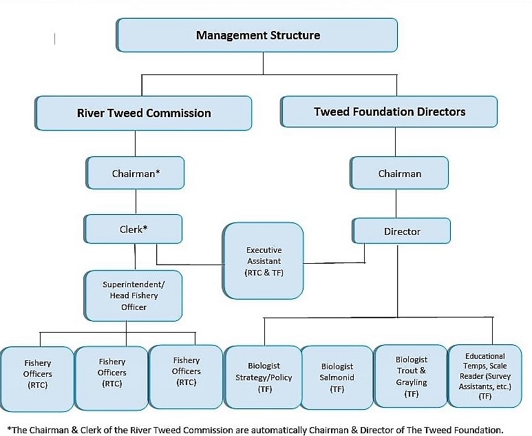 Tweed Commission Management Structure