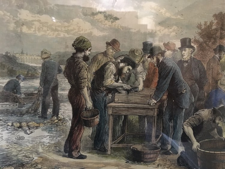 Tweed Commission History